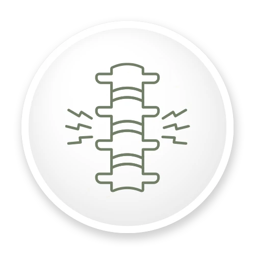 Spine-Pain-Icon-Green.webp